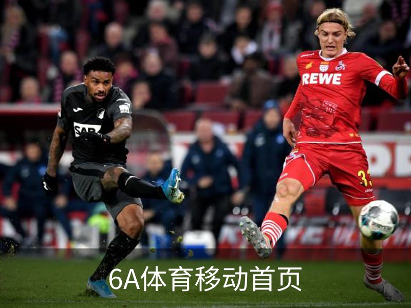 6A体育移动首页 - 体育培训app安全下载入口